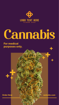 Medicinal Cannabis Instagram reel Image Preview