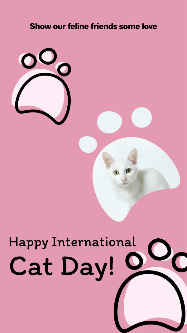 Pink International Cat Day Facebook Story Design Image Preview