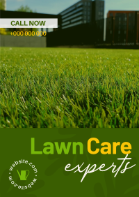 Lawn Care Experts Flyer Image Preview