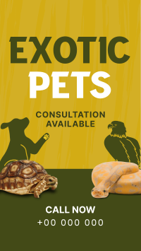 Exotic Vet Consultation Instagram story Image Preview