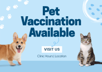 Pet Vaccination Postcard Design