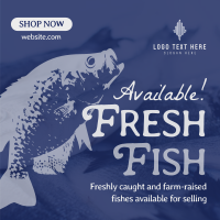Fresh Fishes Available Instagram post Image Preview