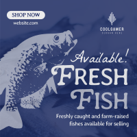 Fresh Fishes Available Instagram Post Design