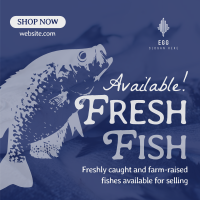 Fresh Fishes Available Instagram post Image Preview