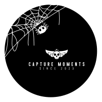 Spooky Spider Facebook Profile Picture Image Preview