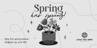 Spring Flower Pot Twitter post Image Preview