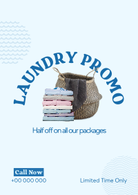 Laundry Delivery Promo Poster Image Preview