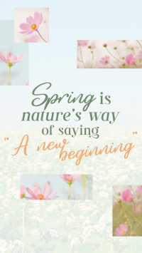 Spring Quote Instagram Reel Image Preview