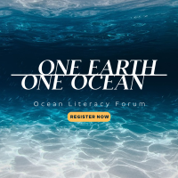 One Ocean Linkedin Post Image Preview