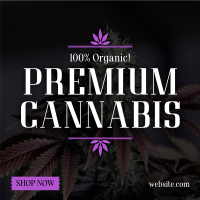 High Quality Cannabis Instagram Post Design