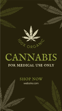 Cannabis Cures Instagram Reel Design