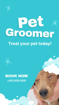 Professional Pet Groomer Instagram story Image Preview