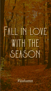 Minimalist Autumn Season Quotes TikTok Video Preview