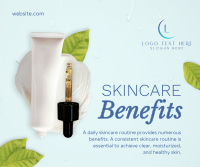 Skincare Benefits Organic Facebook Post Preview