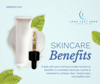 Skincare Benefits Organic Facebook post Image Preview