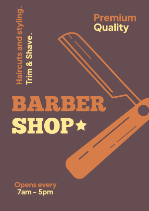 Haircuts and Styling Poster