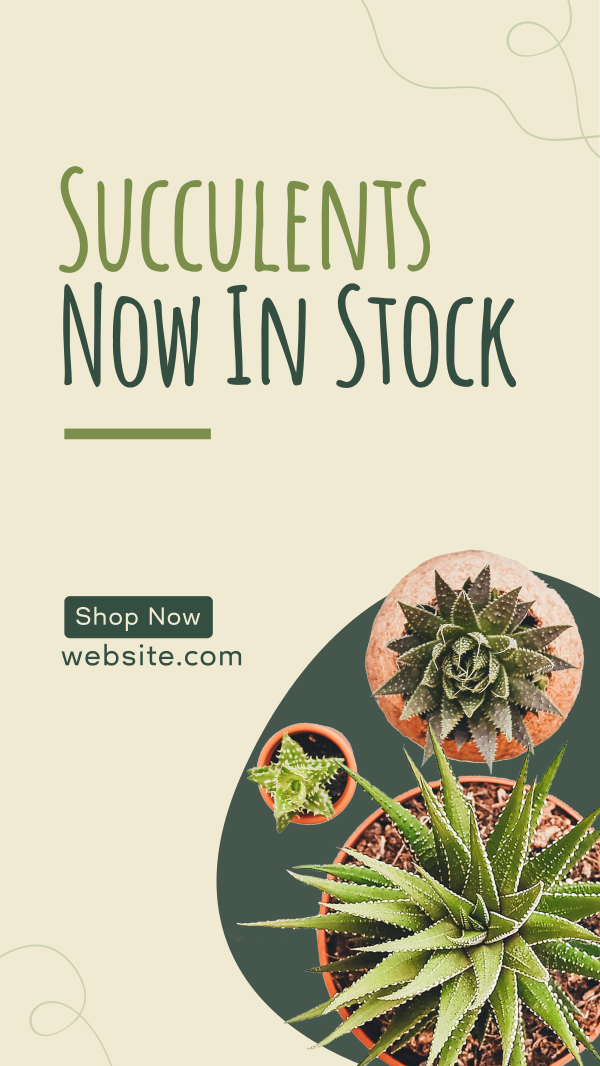 New Succulents Instagram Story Design Image Preview