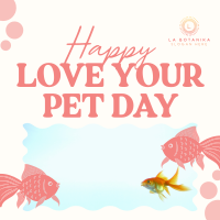 Bubbly Pet Day Instagram Post Design