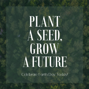 Plant Seed Grow Future Earth Instagram post Image Preview