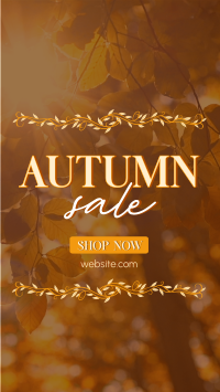 Special Autumn Sale  TikTok video Image Preview