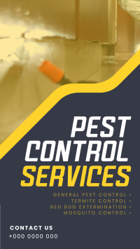 Straight Forward Pest Control TikTok Video Preview