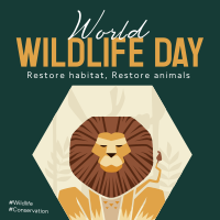 Restoring Habitat Program Linkedin Post Image Preview