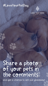 Love Your Pet Day Giveaway Instagram reel Image Preview
