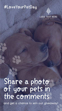 Love Your Pet Day Giveaway Instagram Reel Design