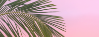 Pink Tropical Palms Facebook cover Image Preview