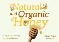 Locally Harvested Honey Postcard Design