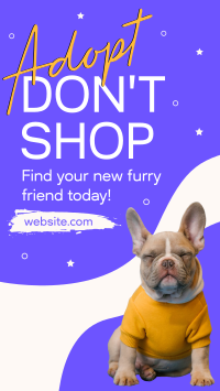 New Furry Friend TikTok video Image Preview
