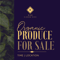 Come and Buy Our Fresh Produce Instagram Post Design
