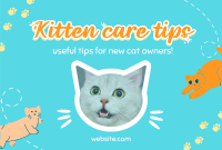 Show off your cat! Pinterest Cover Design