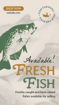 Fresh Fishes Available Instagram Reel Design