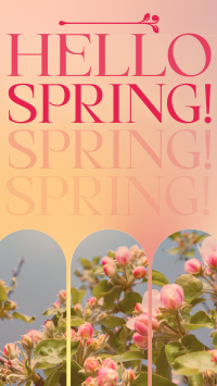 Retro Welcome Spring Instagram reel Image Preview