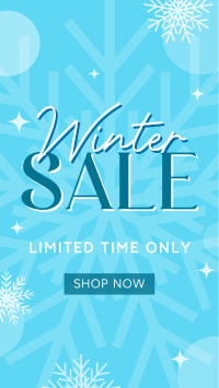 Winter Shopping  Sale Instagram Reel Image Preview