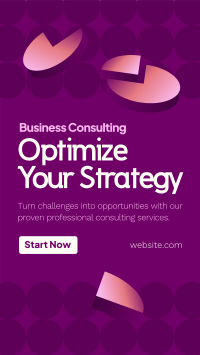 Professional Business Consulting TikTok Video Image Preview