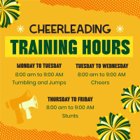 Cheerleading Training Schedule Instagram Post Preview