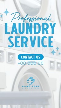 Professional Laundry Service Facebook story Image Preview