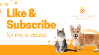 Pet Vaccination Video Image Preview