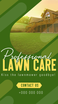 Professional Lawn Cleaning YouTube Short Preview