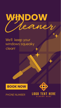 Squeaky Clean Windows Instagram Reel Preview