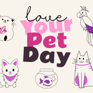 Love Your Pet Day Instagram post Image Preview