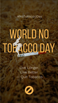 No Tobacco Day TikTok video Image Preview