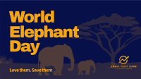 Safari Elephant Animation Design