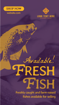 Fresh Fishes Available TikTok Video Design