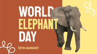 Save Elephants Animation Design