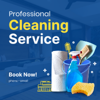 The Professional Cleaner Instagram post Image Preview