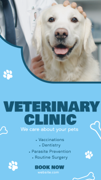 Professional Veterinarian Clinic TikTok Video Image Preview