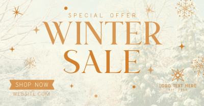 Special Winter Promo Facebook Ad Image Preview